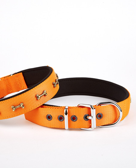 Softlu Kemik Desenli Köpek Tasması 2 cm x 45 cm Turuncu Softlu Kemik Desenli Köpek Tasması 2 cm x 45 cm Turuncu