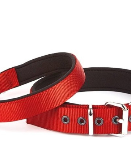 Seri Dokuma Köpek Boyun Tasması 4x57-65cm Kırmızı Seri Dokuma Köpek Boyun Tasması 4x57-65cm Kırmızı