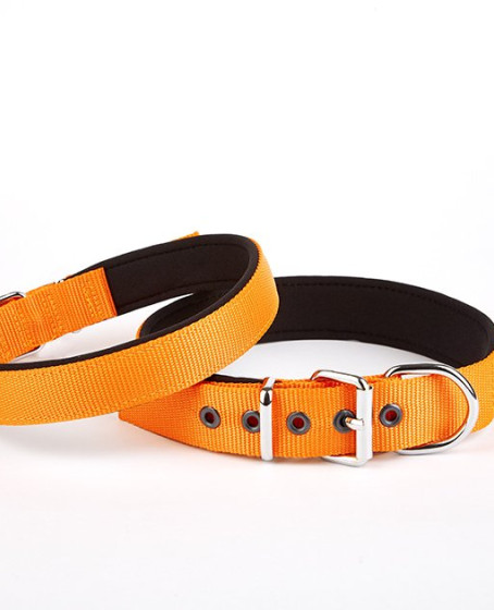 Softlu Köpek Boyun Tasması 3 cm x 55 cm Turuncu Softlu Köpek Boyun Tasması 3 cm x 55 cm Turuncu