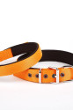 Softlu Köpek Boyun Tasması 3 cm x 55 cm Turuncu Softlu Köpek Boyun Tasması 3 cm x 55 cm Turuncu