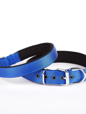 Softlu Köpek Boyun Tasması 3 cm x 55 cm Mavi