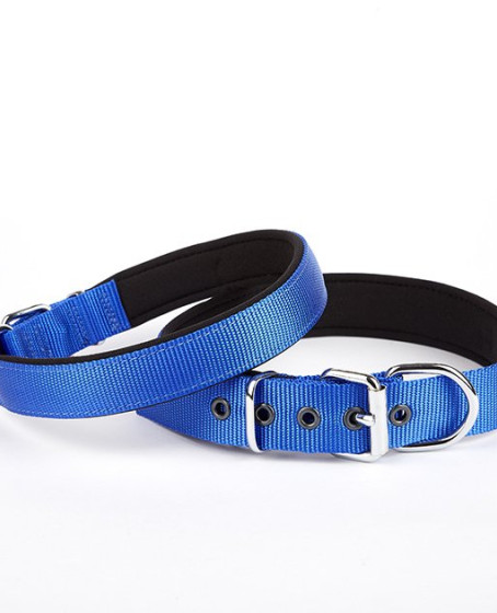 Softlu Köpek Boyun Tasması 3 cm x 55 cm Mavi Softlu Köpek Boyun Tasması 3 cm x 55 cm Mavi