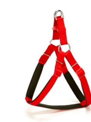 Köpek Bel Tasması 70cm Large Kırmızı