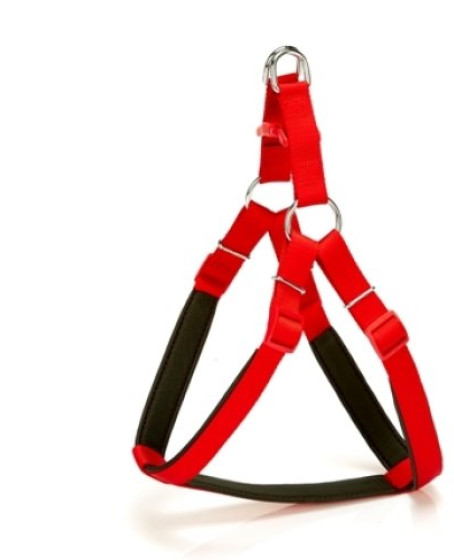 Köpek Bel Tasması 70cm Large Kırmızı