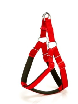 Köpek Bel Tasması 85cm X-Large Kırmızı
