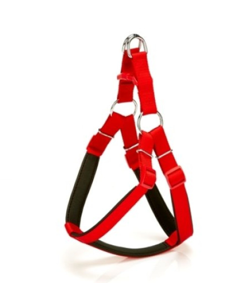 Köpek Bel Tasması 85cm X-Large Kırmızı Köpek Bel Tasması 85cm X-Large Kırmızı