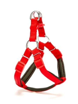Köpek Göğüs Tasması 35cm XSmall