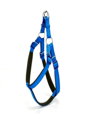 Köpek Bel Tasması 95cm XX-Large Mavi