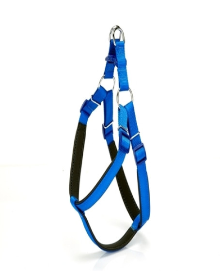 Köpek Bel Tasması 95cm XX-Large Mavi