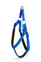 Köpek Bel Tasması 95cm XX-Large Mavi