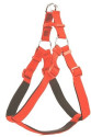Köpek Bel Tasması 85cm X-Large Kırmızı Köpek Bel Tasması 85cm X-Large Kırmızı
