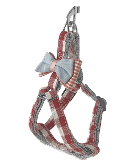 Köpek Göğüs Tasma Seti Ekose Desenli Papyonlu 1.5 cm*35-48 cm Kırmızı Köpek Göğüs Tasma Seti Ekose Desenli Papyonlu 1.5 cm*35-48 cm Kırmızı