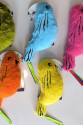 Catnipli Zilli Peluş Kuş Kedi Köpek Oyuncağı Çeşitli Renklerde 8 cm x 30 cm Catnipli Zilli Peluş Kuş Kedi Köpek Oyuncağı Çeşitli Renklerde 8 cm x 30 cm