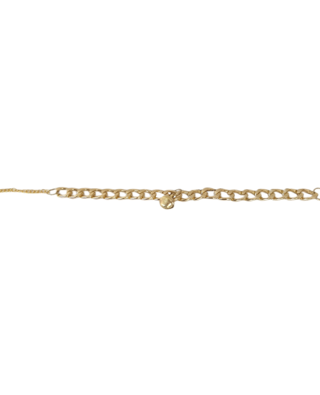 Kedi Ve Köpek Lüx Zincir Kolye 25-30 cm Medium Gold