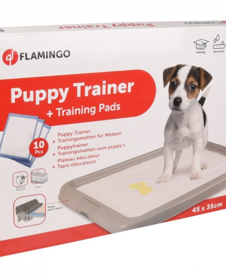 Yavru Köpek Çiş Eğitim Pedi Seti 45x35cm (10'lu) Yavru Köpek Çiş Eğitim Pedi Seti 45x35cm (10'lu)
