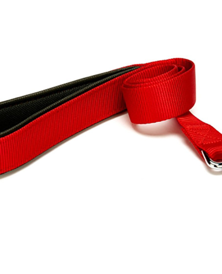 Köpek Gezdirme Kayışı 1,5 cm x 115 cm Kırmızı Köpek Gezdirme Kayışı 1,5 cm x 115 cm Kırmızı
