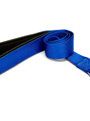 Köpek Gezdirme Kayışı 1,5 cm x 115 cm Mavi
