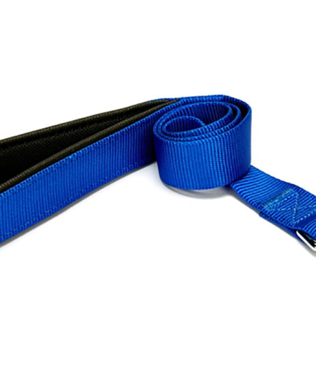 Köpek Gezdirme Kayışı 1,5 cm x 115 cm Mavi
