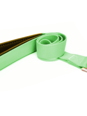 Köpek Gezdirme Kayışı 1,5 cm x 115 cm Yeşil