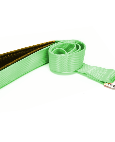 Köpek Gezdirme Kayışı 2 cm x 115 cm Yeşil Köpek Gezdirme Kayışı 2 cm x 115 cm Yeşil