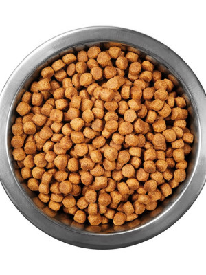 Tavuklu Yetişkin Kedi Maması 1 kg Açık Mama