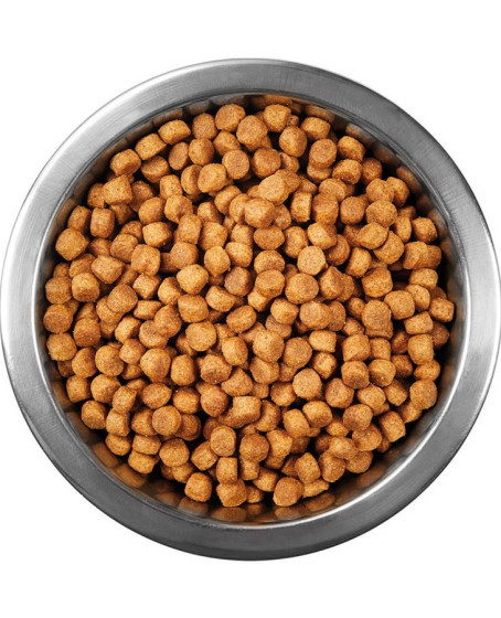 Tavuklu Yetişkin Kedi Maması 1 kg Açık Mama