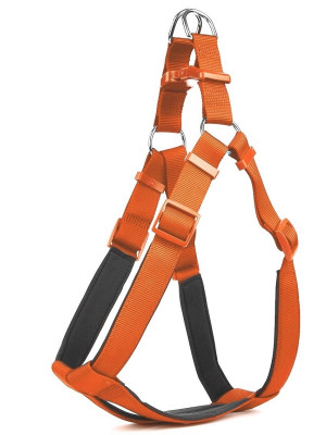 Köpek Bel Tasması 95cm XX-Large Turuncu