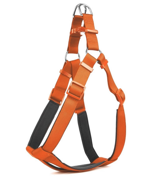 Köpek Bel Tasması 70cm Large Turuncu