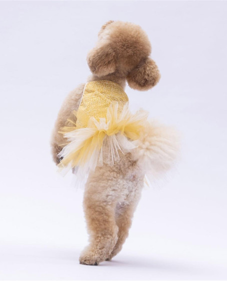 PawStar Yellow Polka-Dot L 30 x 33 x 46 cm PawStar Yellow Polka-Dot L 30 x 33 x 46 cm