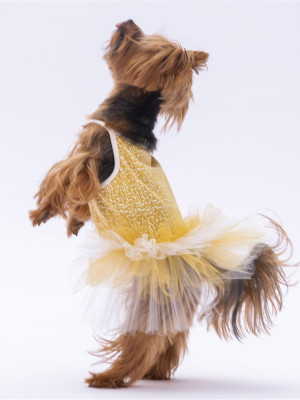 PawStar Yellow Polka-Dot XL 34 x 38 x 55 cm