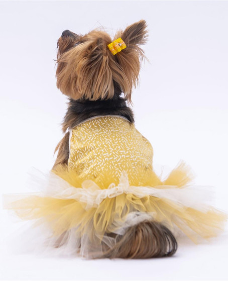 PawStar Yellow Polka-Dot L 30 x 33 x 46 cm PawStar Yellow Polka-Dot L 30 x 33 x 46 cm