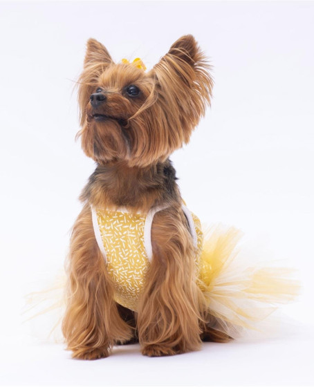 PawStar Yellow Polka-Dot L 30 x 33 x 46 cm PawStar Yellow Polka-Dot L 30 x 33 x 46 cm