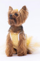PawStar Yellow Polka-Dot L 30 x 33 x 46 cm PawStar Yellow Polka-Dot L 30 x 33 x 46 cm