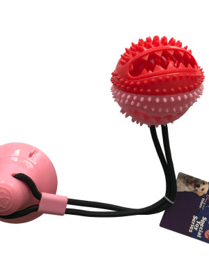 Yapışkanlı Ödül Hazneli Köpek Oyuncağı 7x9x54 Cm Pembe