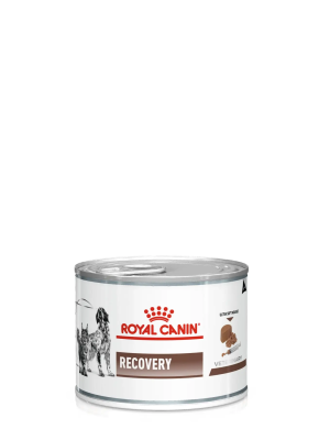 Recovery Kedi & Köpek Maması 195gr Kedi ve Köpekler İçin Beslenme Desteği