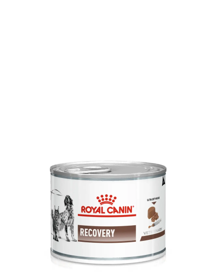 Recovery Kedi & Köpek Maması 195gr Kedi ve Köpekler İçin Beslenme Desteği