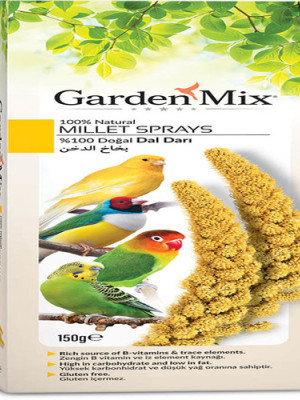 Platin Sarı Dal Darı 150 gr