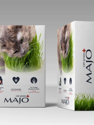 Üç Kullanımlık Naturel Kedi Çimi Yedek Tohumlu