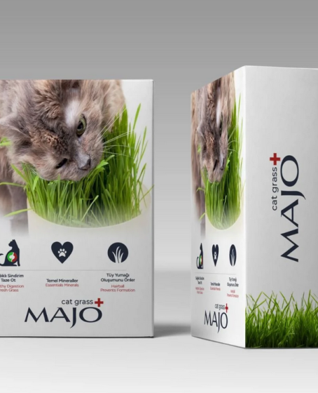 Üç Kullanımlık Naturel Kedi Çimi Yedek Tohumlu Üç Kullanımlık Naturel Kedi Çimi Yedek Tohumlu