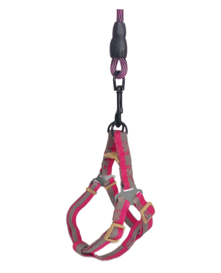 Köpek Göğüs Tasma Seti Dalga Desenli 2 cm*40-58 cm Mor-Pembe Köpek Göğüs Tasma Seti Dalga Desenli 2 cm*40-58 cm Mor-Pembe