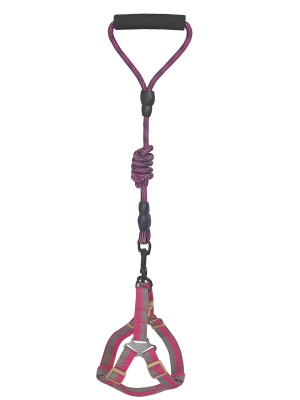 Köpek Göğüs Tasma Seti Dalga Desenli 2 cm*40-58 cm Mor-Pembe