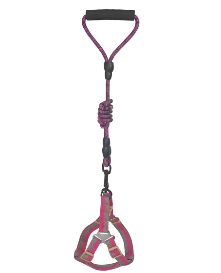 Köpek Göğüs Tasma Seti Dalga Desenli 2 cm*40-58 cm Mor-Pembe Köpek Göğüs Tasma Seti Dalga Desenli 2 cm*40-58 cm Mor-Pembe