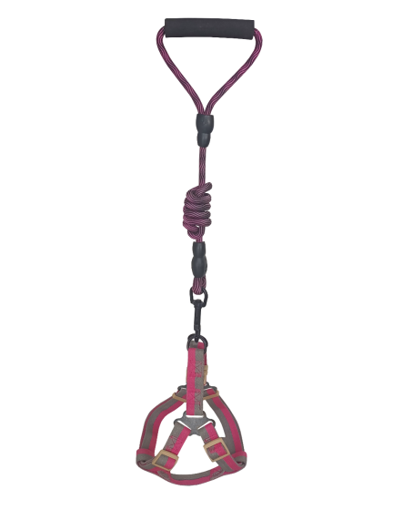 Köpek Göğüs Tasma Seti Dalga Desenli 2 cm*40-58 cm Mor-Pembe Köpek Göğüs Tasma Seti Dalga Desenli 2 cm*40-58 cm Mor-Pembe