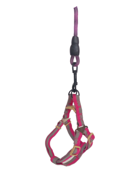 Köpek Göğüs Tasma Seti Dalga Desenli 2 cm*40-58 cm Mor-Pembe Köpek Göğüs Tasma Seti Dalga Desenli 2 cm*40-58 cm Mor-Pembe