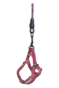 Köpek Göğüs Tasma Seti Dalga Desenli 2 cm*40-58 cm Mor-Pembe Köpek Göğüs Tasma Seti Dalga Desenli 2 cm*40-58 cm Mor-Pembe