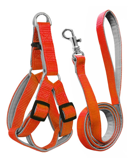 Gezdirme Kayışlı Dokuma Köpek Göğüs Tasma Seti 32*47-110 cm Turuncu Gezdirme Kayışlı Dokuma Köpek Göğüs Tasma Seti 32*47-110 cm Turuncu