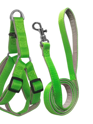 Gezdirme Kayışlı Dokuma Köpek Göğüs Tasma Seti 52*73-110 cm Neon Yeşil