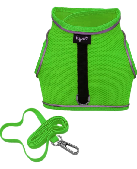 Çift Kilitli Sportif Kedi Köpek Göğüs Tasma Seti 34-44 cm Large Yeşil
