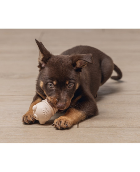 Yavru Köpek Sumo Mını Dental Oyuncak Xs 3-6 kg