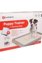 Yavru Köpek Çiş Eğitim Pedi Seti 45x35cm (10'lu) Yavru Köpek Çiş Eğitim Pedi Seti 45x35cm (10'lu)